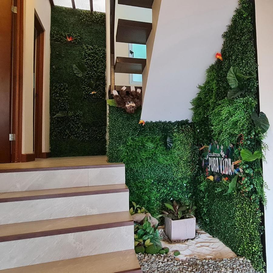 Cozy Private Apartment, Mirador Escazu -Great View- エクステリア 写真